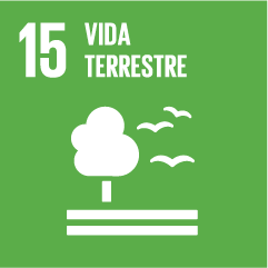 ODS 15: Vida Terrestre